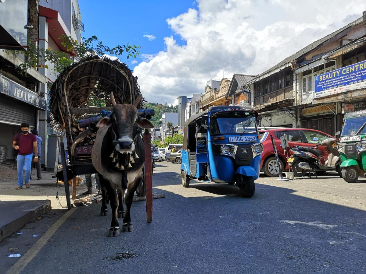 De Paris A Kandy Zewnętrze zdjęcie